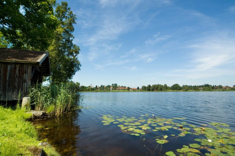 Bild zu Themenweg Große Moor Runde