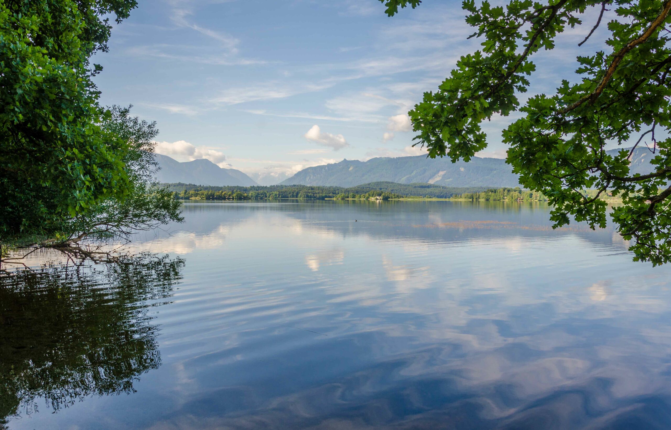 Wanderungen rund um Seen in Oberbayern