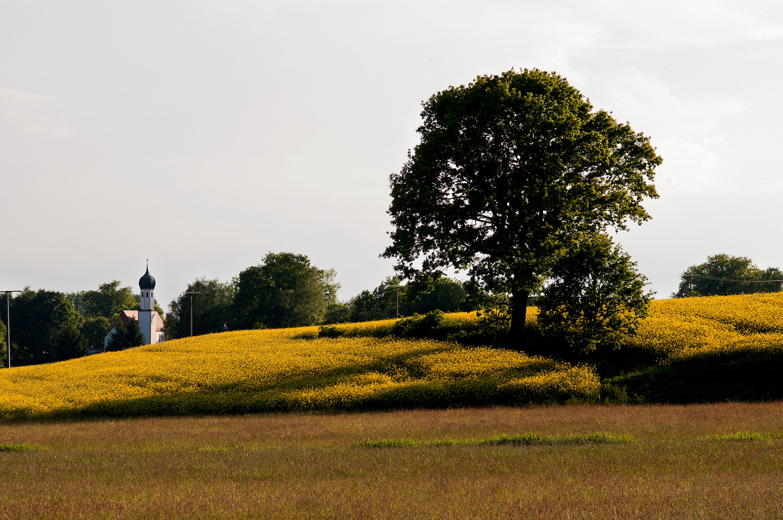 Radtouren im Norden von München und Oberbayern