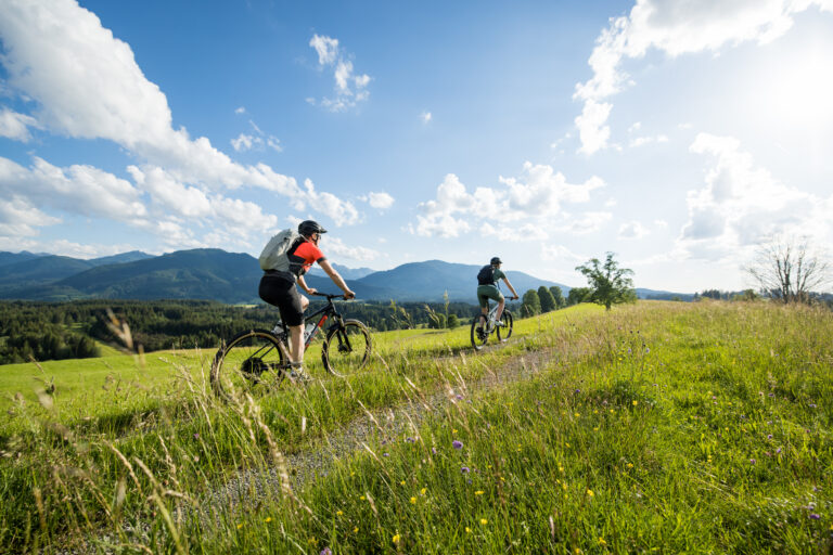 Bild zu Radtour Moorrunde