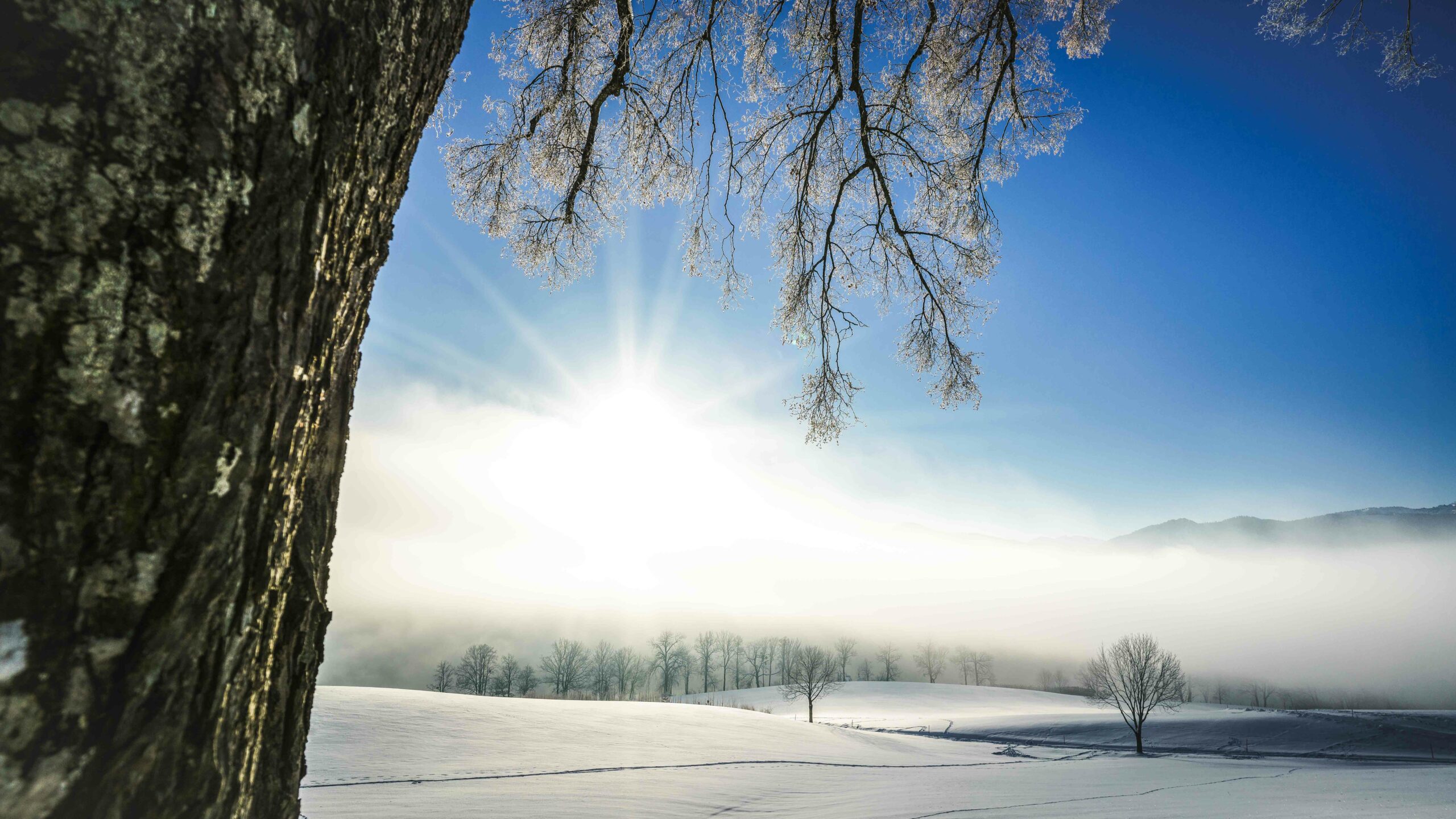Winterwandern mit Bergblick