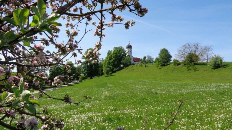 Bild zu Schloss- und Kirchenroute