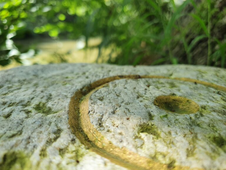 Bild zu StadtOasen-Erfahrungsweg im Amperwald Etzenhausen