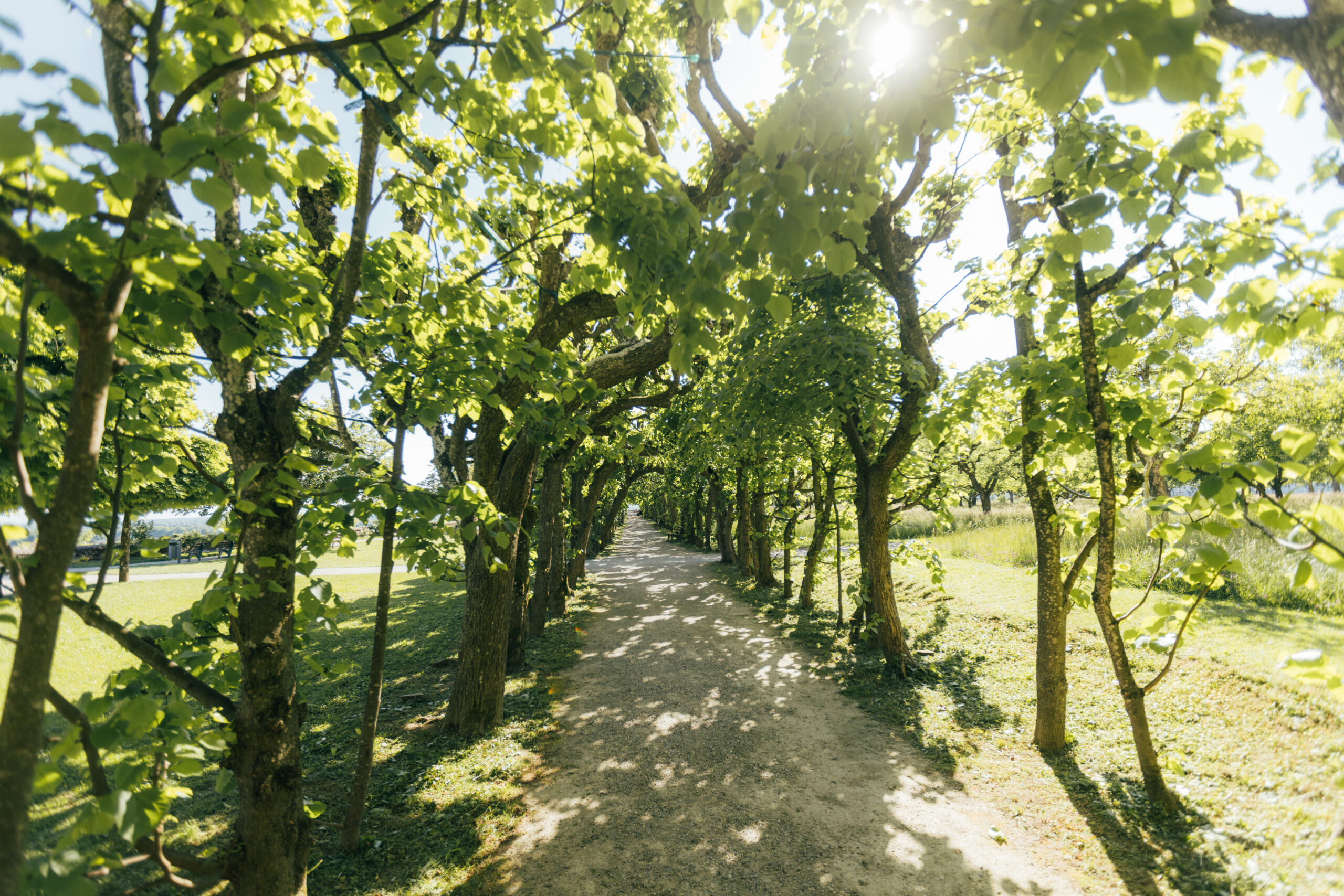 Wandern rund um München